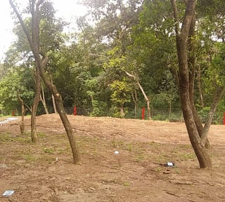 Terreno en Renta en Santa Catarina Pinula