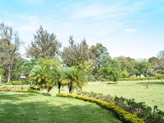 Vendo terreno en Cementerio Los Parques en Jardín las Acacias Ref-5149 - 3