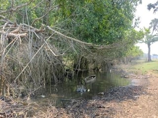 Terreno en Venta - Renta Iztapa, Escuintla  - 5