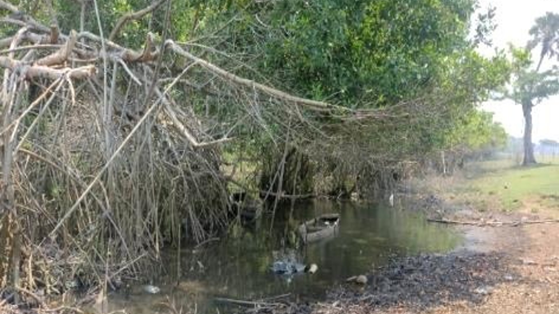 Terreno en Venta - Renta Iztapa, Escuintla  - Miniatura 5