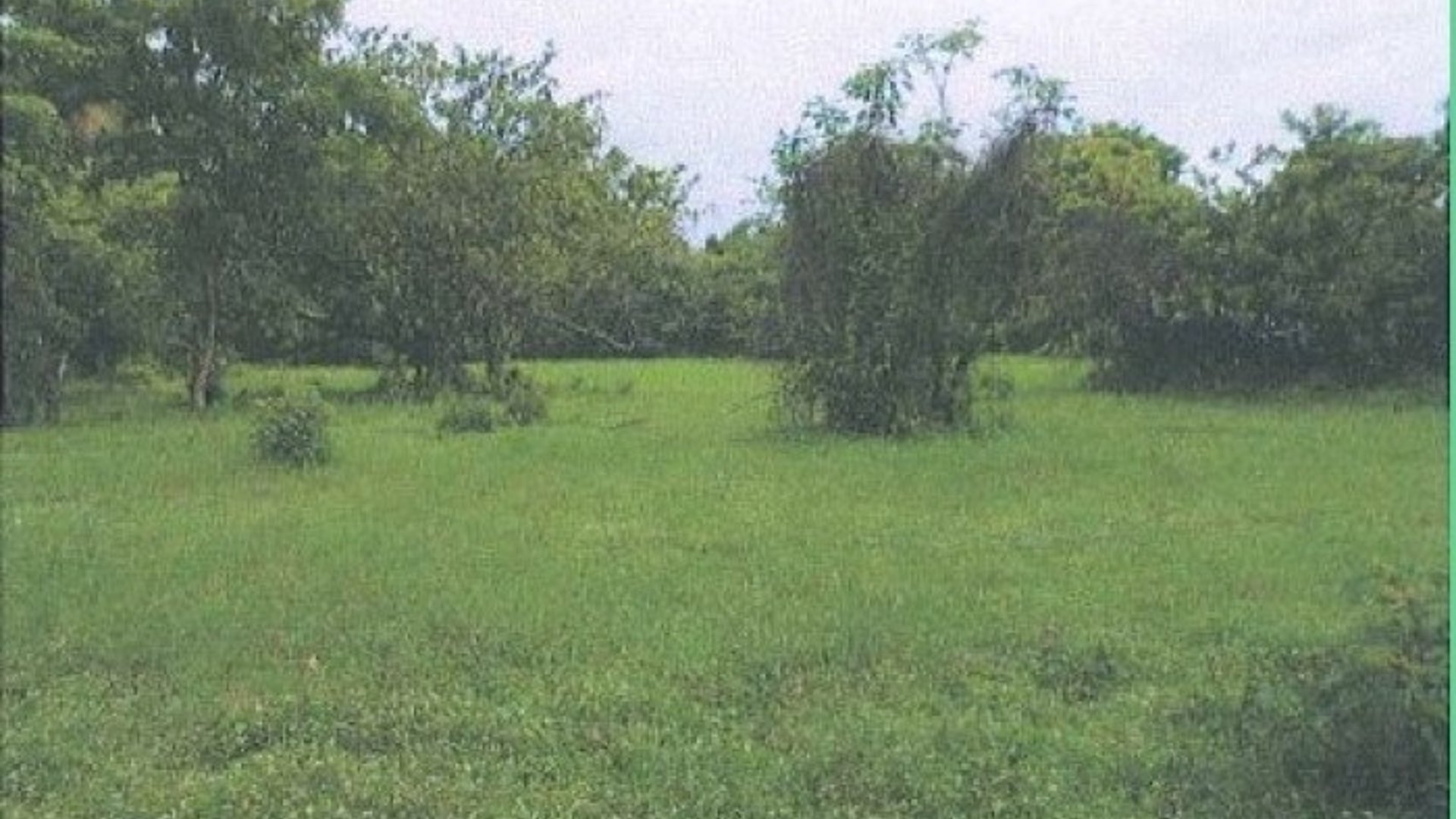 Renta terreno ideal para gasolinera en Escuintla