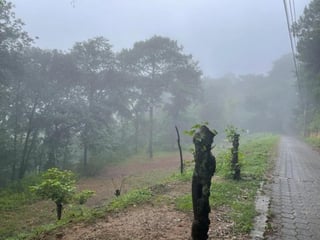 Venta de amplio terreno en Choacorral, San Lucas  Sac! - Image 5