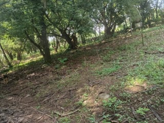 VENTA DE TERRENO EN KM 73, CARRETERA A TAXISCO - 2