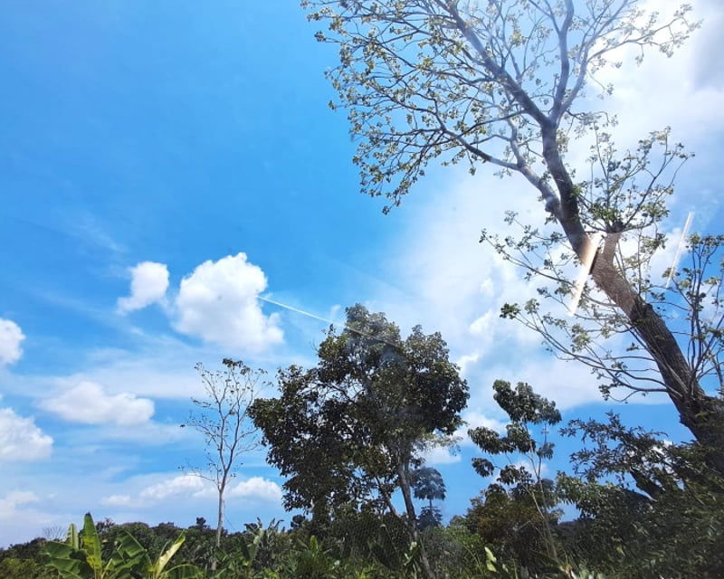 TERRENO RUSTICO EN ALQUILER EN MAZATENANGO