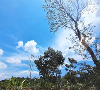TERRENO RUSTICO EN ALQUILER EN MAZATENANGO