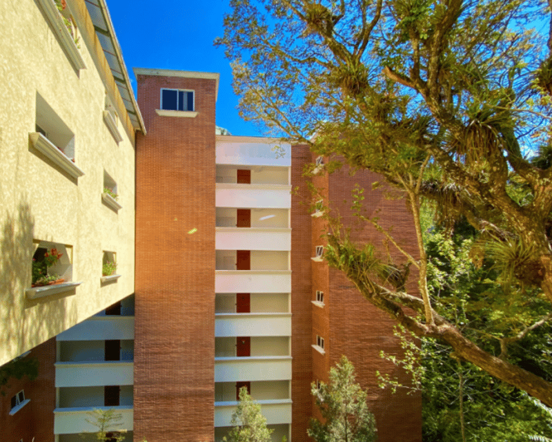 APARTAMENTO TIPO STUDIO EN RENTA - ZONA 16