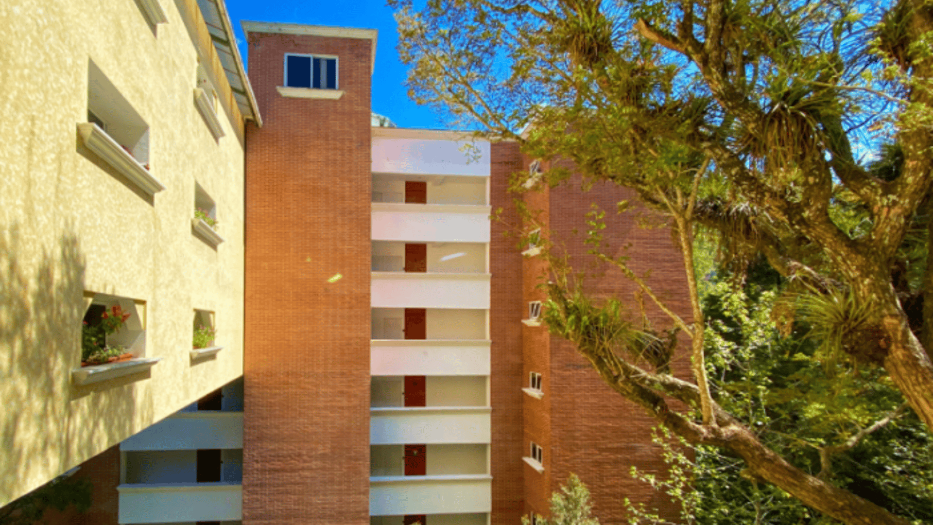 APARTAMENTO TIPO STUDIO EN RENTA - ZONA 16