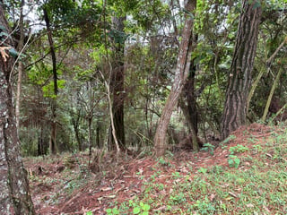VENTA TERRENOS EN EL ENCINAL, MIXCO - 4