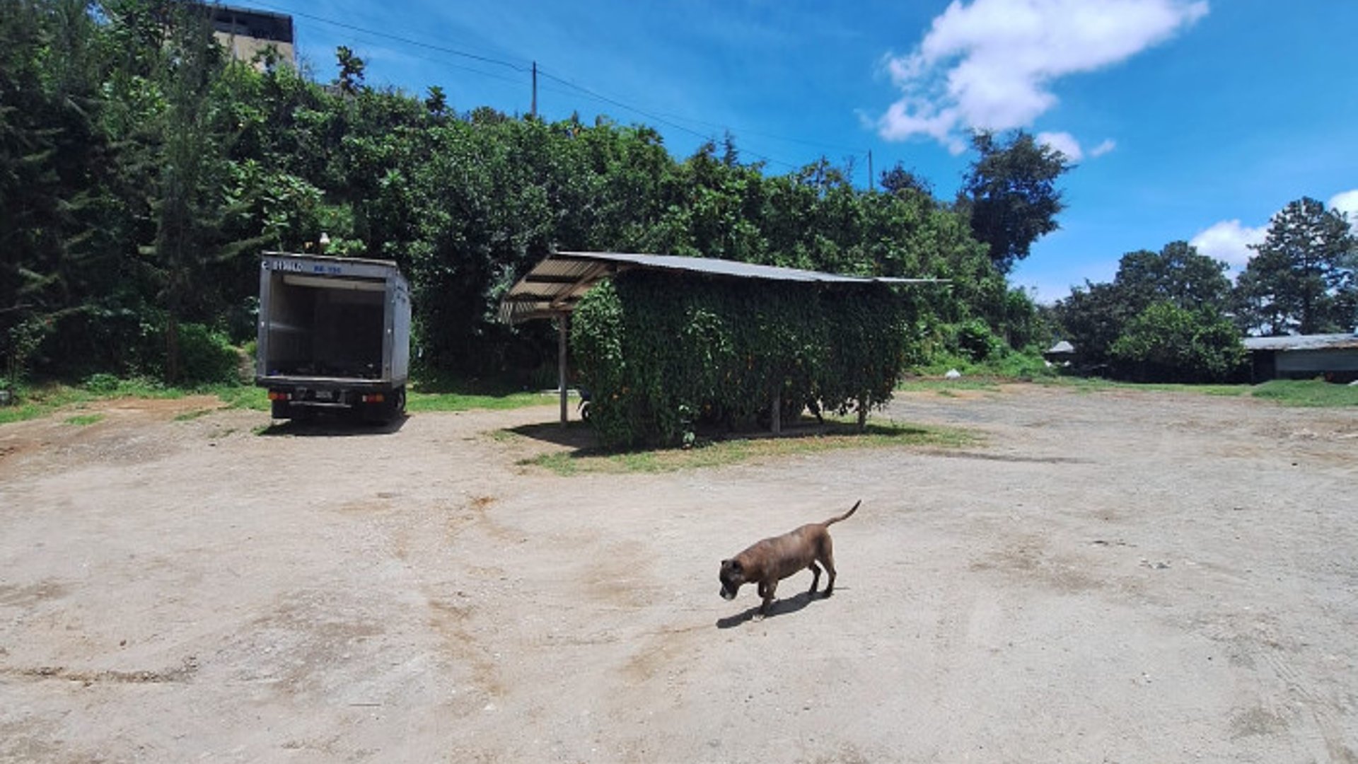 Terreno Comercial en Renta Chimaltenango Km 59 CA1 - Miniatura 14