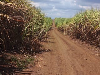 VENTA DE FINCA EN PETÉN – PRECIO DE REMATE - 3