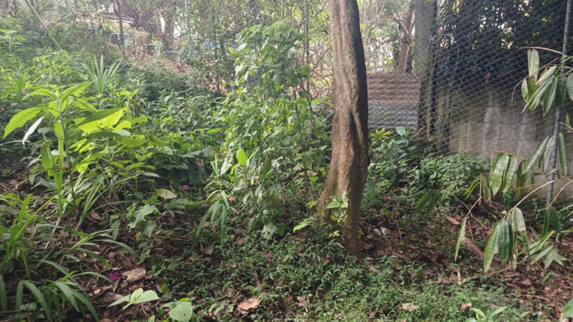 TERRENO EN VENTA EN SAN LUCAS SACATEPEQUEZ - Miniatura 26