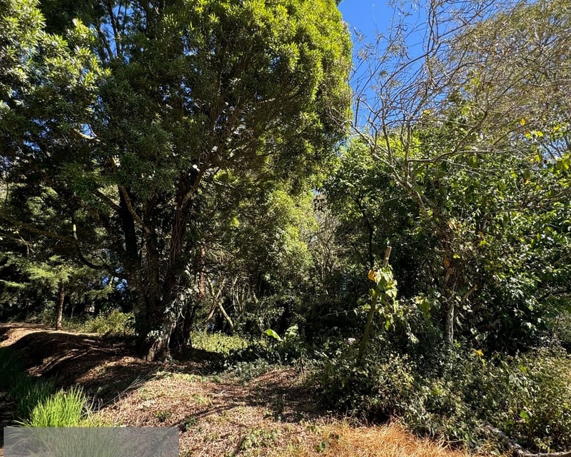 🏡 Casa en Venta – San Germán de la Montaña, Km 20.2 a Fraijanes