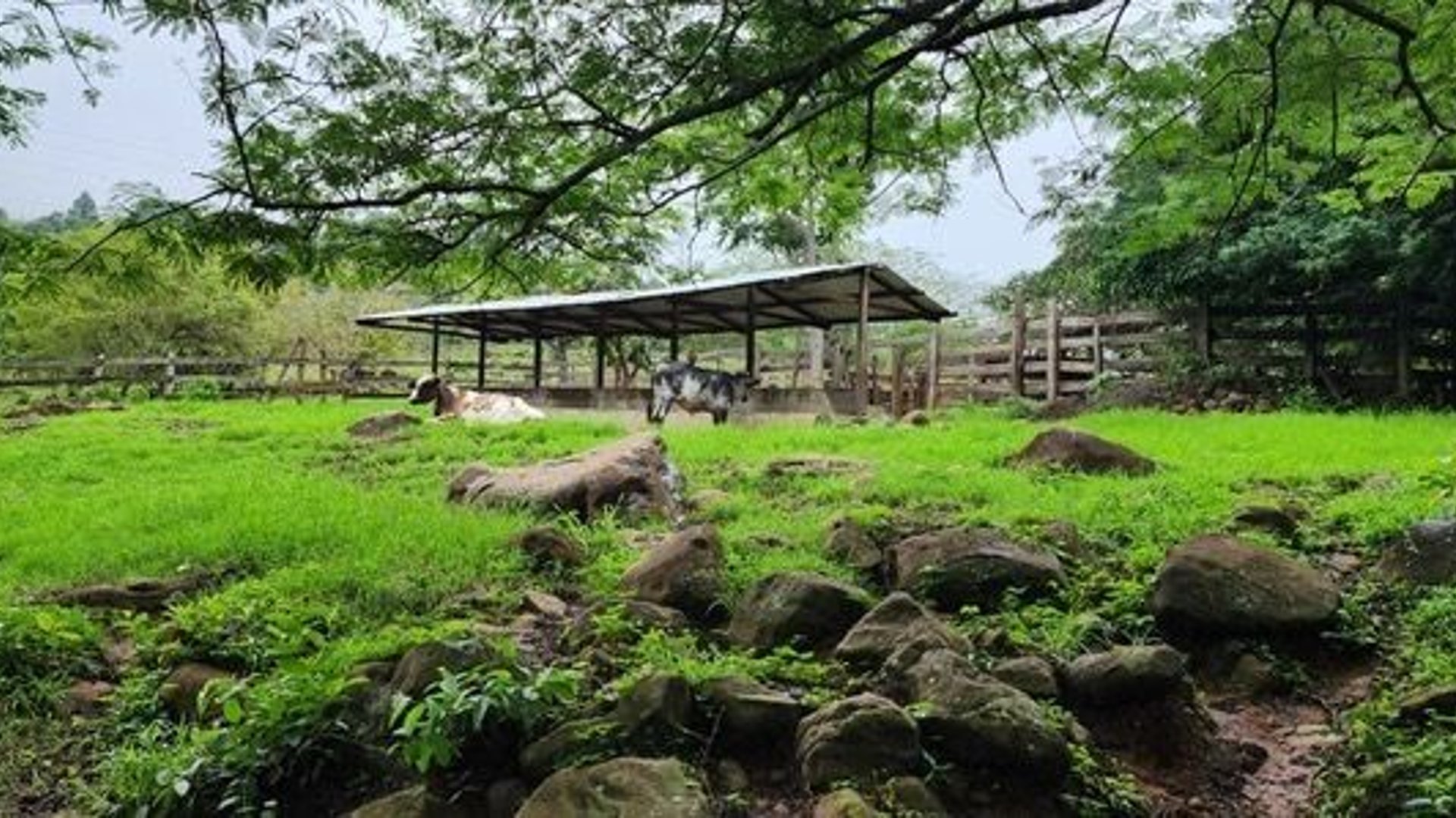 Km 18.2 al Occidente Pueblo Nuevo Viñas, área de Santa Rosa.