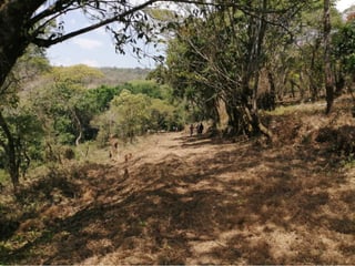 Terreno en Venta en Km 26.5 Carretera a El Salvador, 7.7 Manzanas  - 5