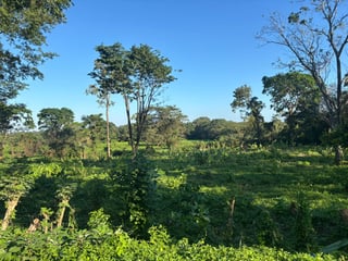 Terreno en Venta en Cuyamel Omoa, Cortés Honduras - 5