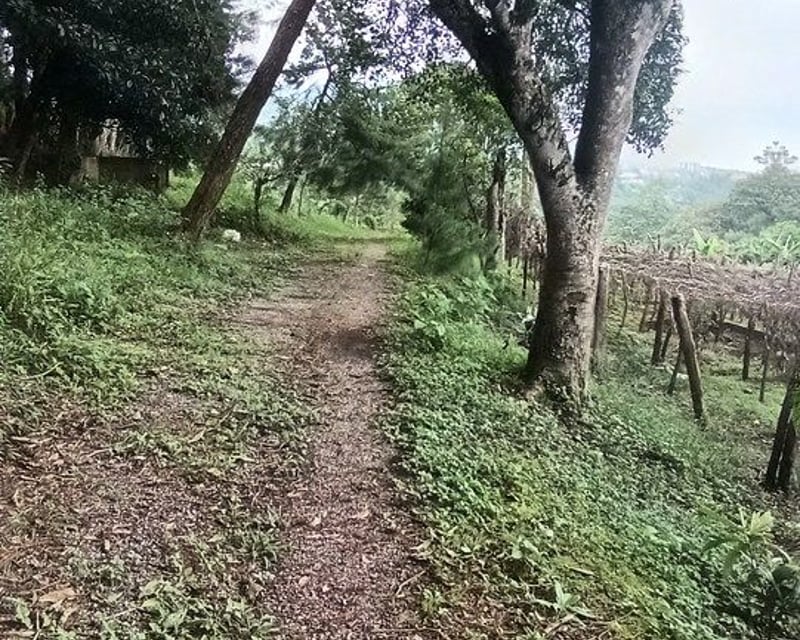 Terreno en VENTA en San José Pinula