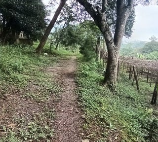 Terreno en VENTA en San José Pinula