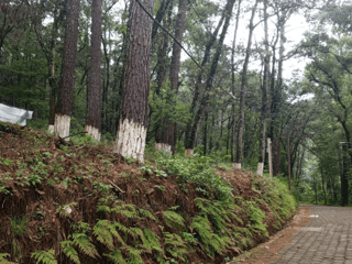 Venta de Terreno en Labor de Castilla, Mixco. - Image 1