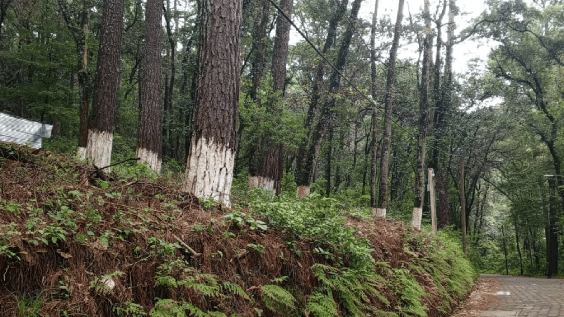 Venta de Terreno en Labor de Castilla, Mixco.