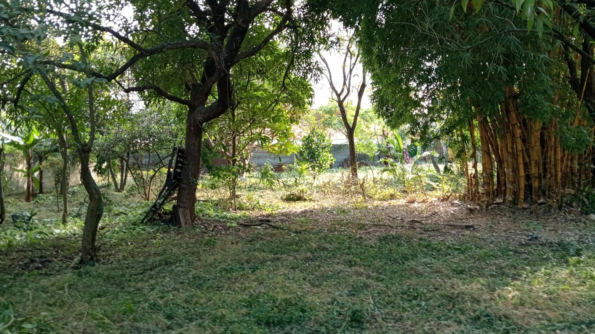TERRENO EN VENTA – GUAJITOS, LOMA BLANCA | ZONA 21 - Miniatura 5
