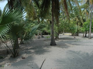 Land for Sale in Tulate, Guatemala - 7185 m² - $199,000 - Image 10