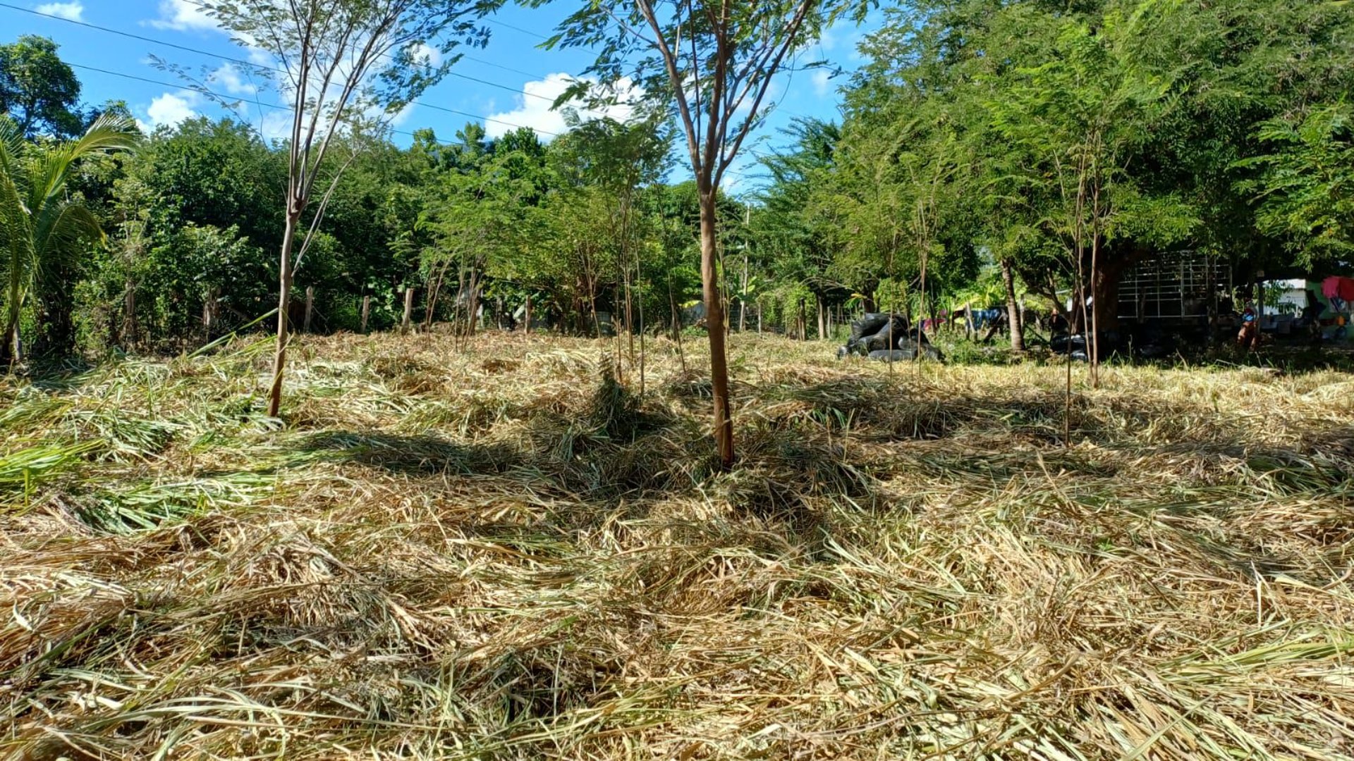 Terreno en venta en Aldea Juan Ponce Zacapa - Miniatura 12