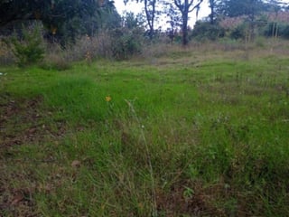 Terreno Comercial en Renta Quiché, Guatemala - 4