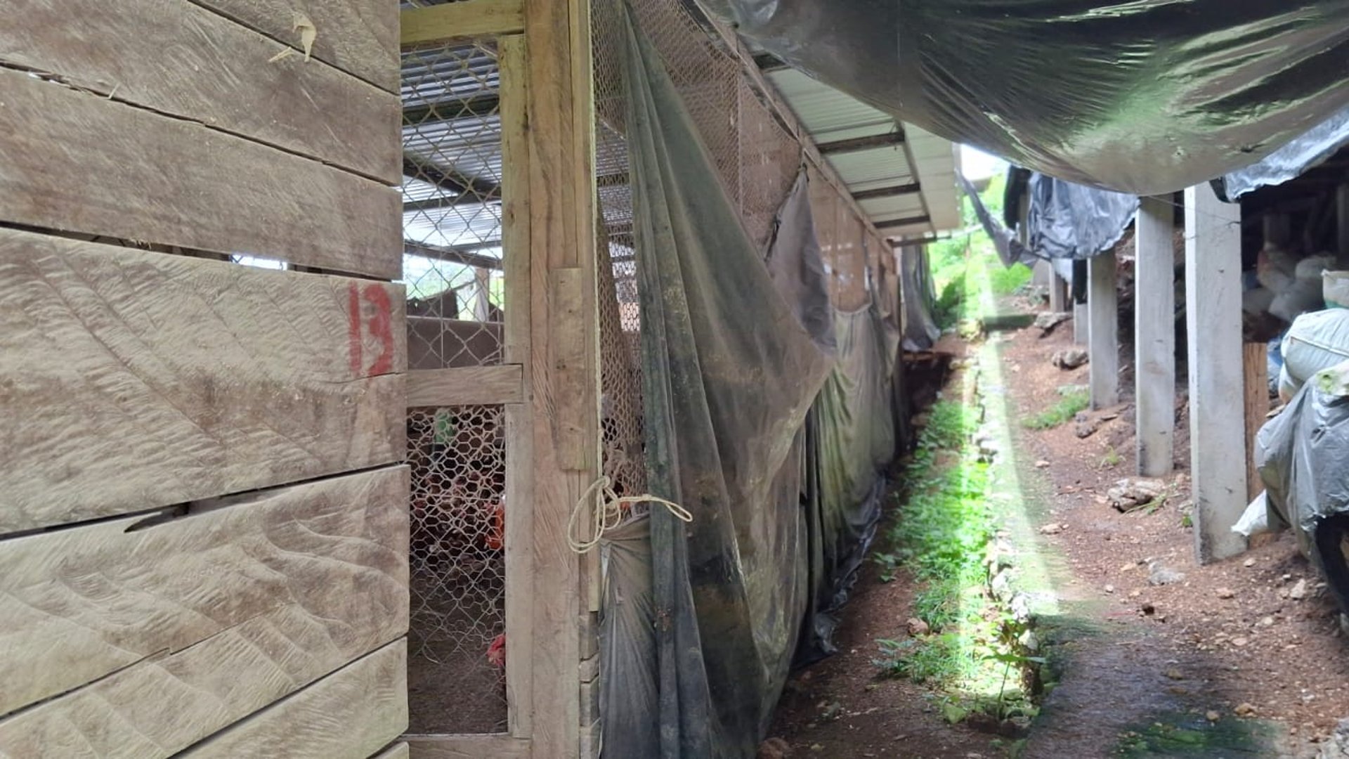Granja en Venta en Cobán, Alta Verapaz  - Miniatura 18
