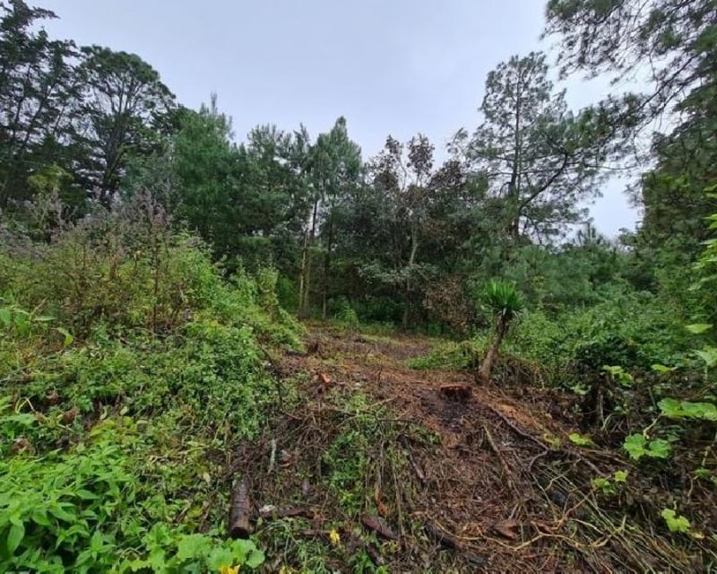 Terreno en Venta Colonia El Paraíso Sacatepéquez