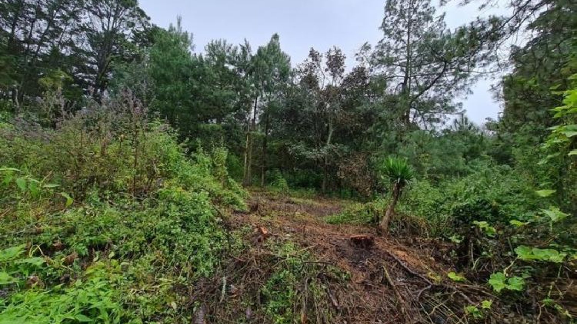 Terreno en Venta Colonia El Paraíso Sacatepéquez