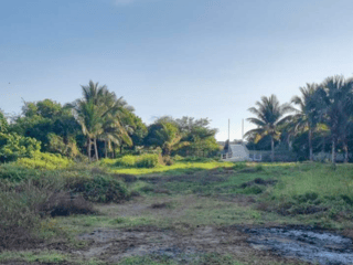 Terreno en Venta frente al mar en Puerto San José, Escuintla  - 3