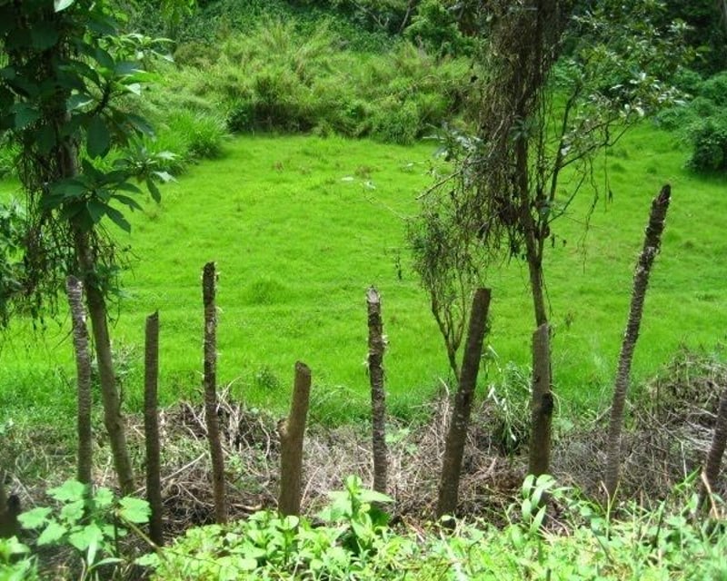 VENTA EXCELENTE FINCA  CARRETERA A SANTA ROSA