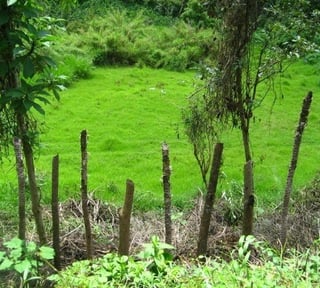 VENTA EXCELENTE FINCA  CARRETERA A SANTA ROSA