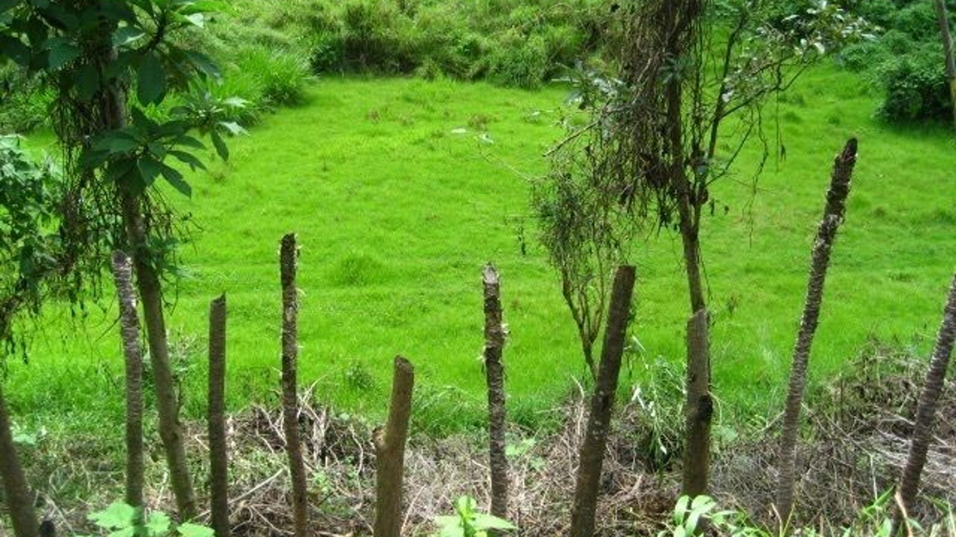VENTA EXCELENTE FINCA  CARRETERA A SANTA ROSA