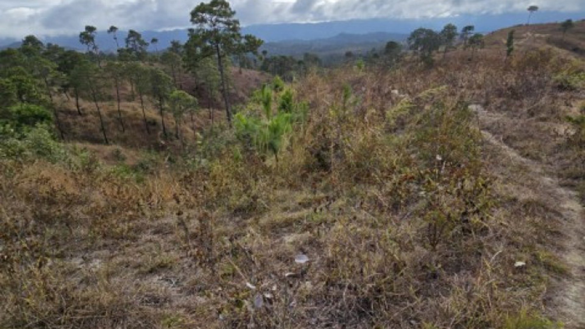 Terreno en Venta San Pedro Sacatepéquez, Guatemala - Miniatura 5