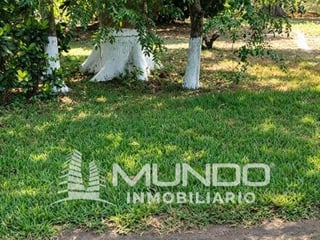 TERRENOS EN VENTA EN ALDEA OBERO, MASAGUA, ESCUINTLA - 4