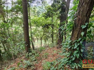 Terreno en Venta, Santa Catarina Pinula (V8522) - 3