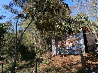 Terreno en Venta en Carretera a las Brisas Finca el Masuey - 3