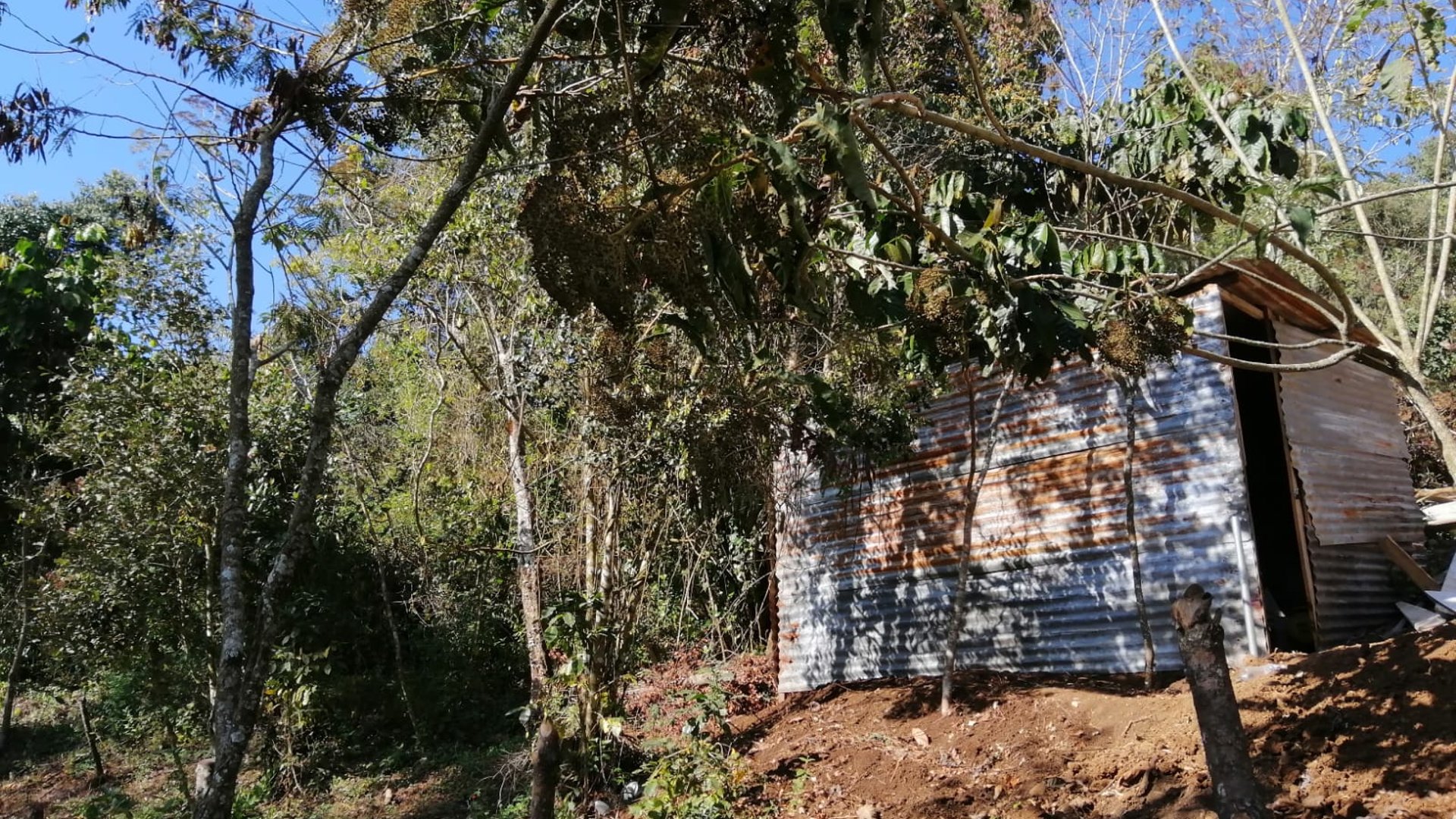 Terreno en Venta en Carretera a las Brisas Finca el Masuey - Miniatura 3