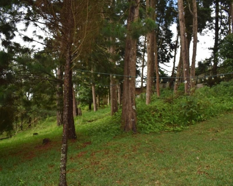 TERRENO EN VENTA EN SANTA ROSALIA LA LAGUNA