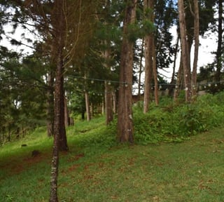 TERRENO EN VENTA EN SANTA ROSALIA LA LAGUNA