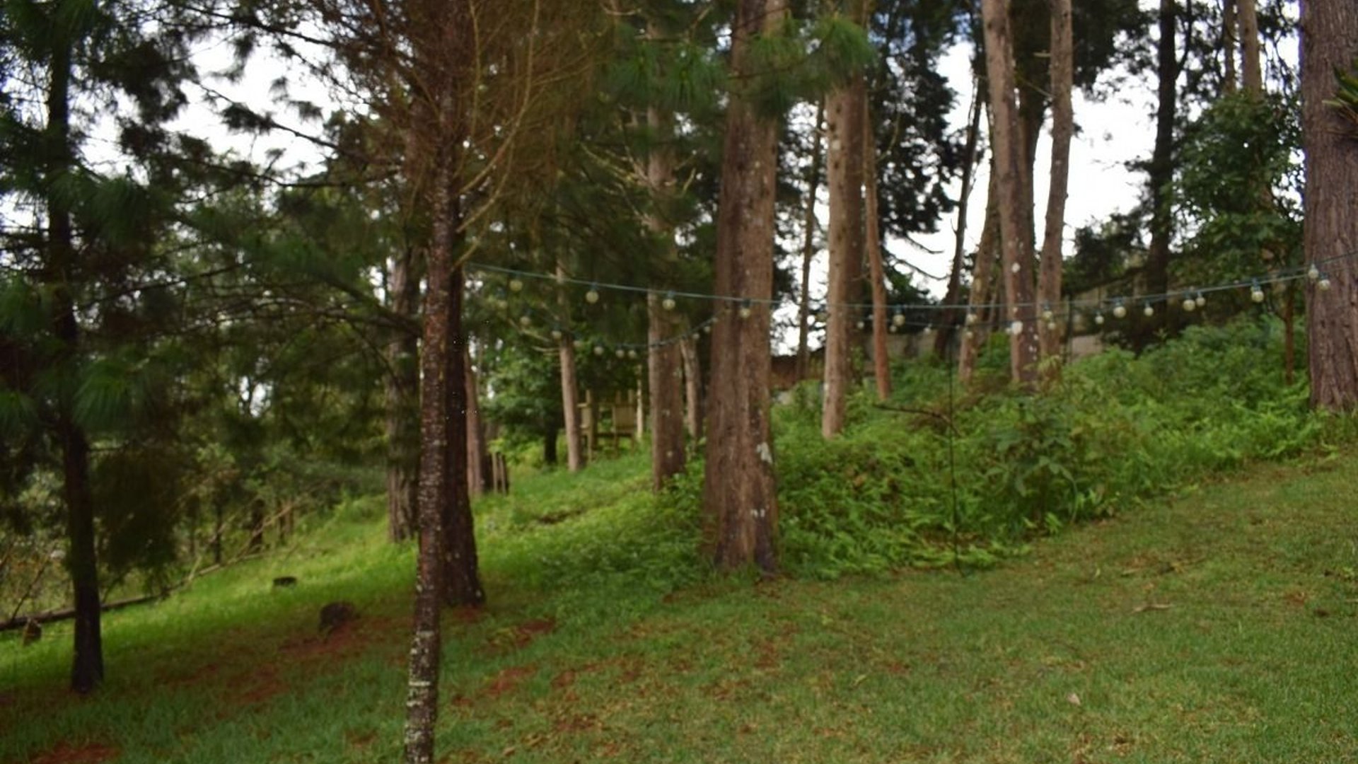 TERRENO EN VENTA EN SANTA ROSALIA LA LAGUNA
