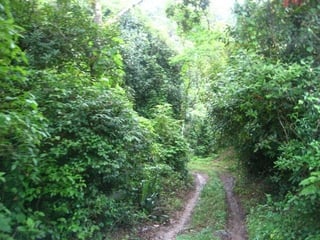 VENTA EXCELENTE FINCA  CARRETERA A SANTA ROSA - 4