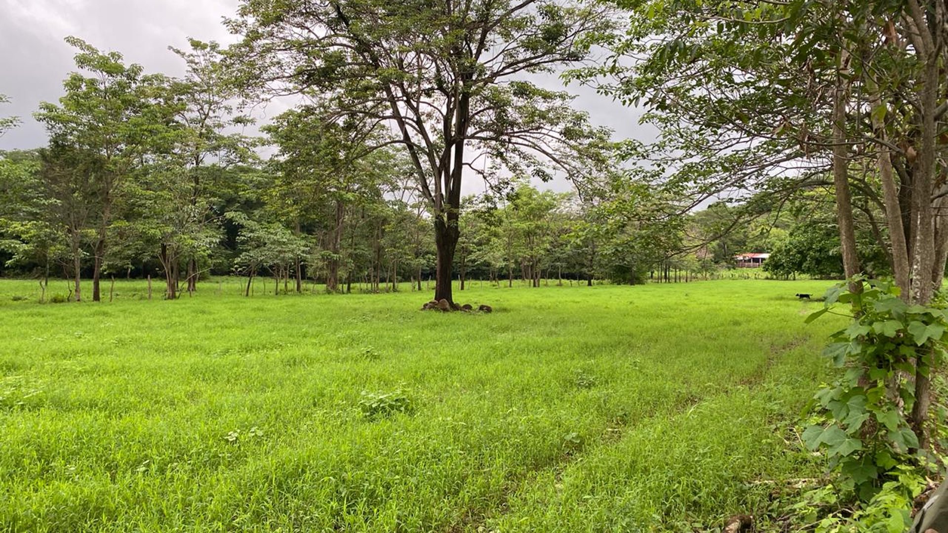FINCA EN SANTA ROSA - Miniatura 9