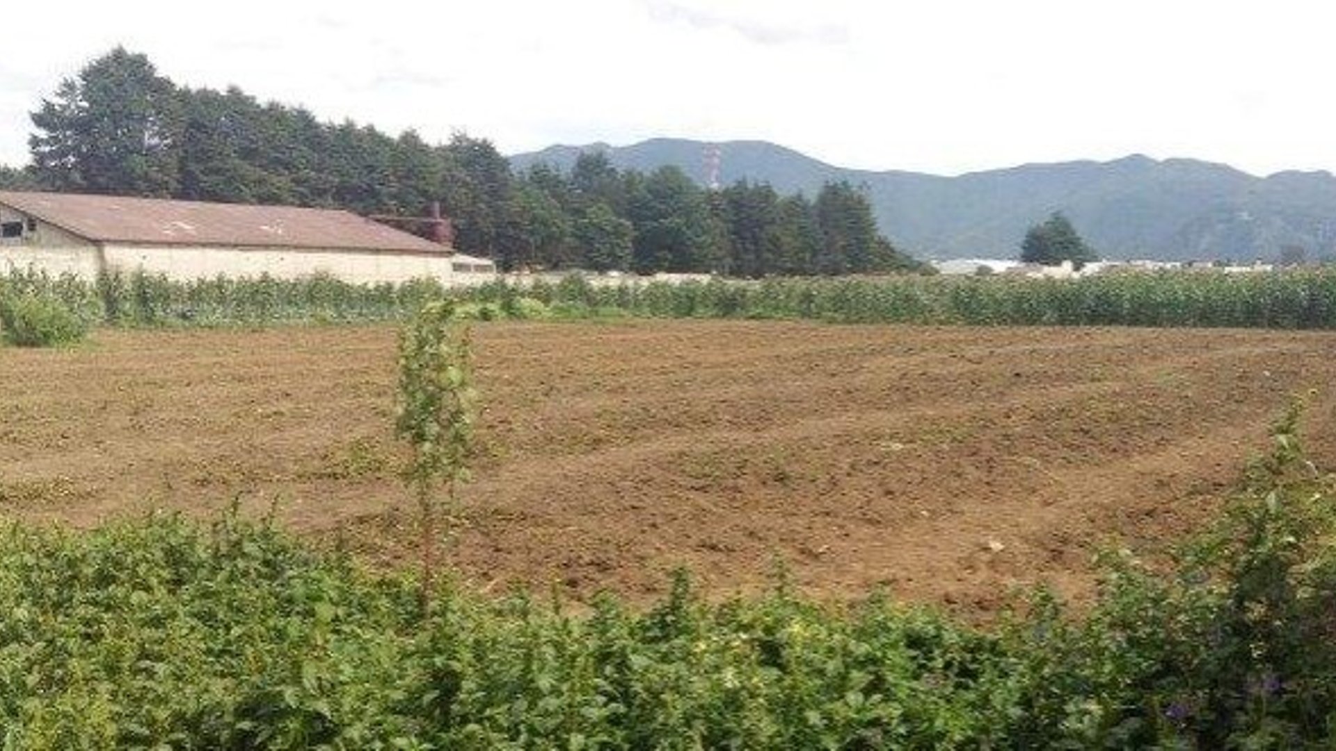 Terreno en Venta en Quetzaltenango Totalmente Plano y Urbanizado - Miniatura 3