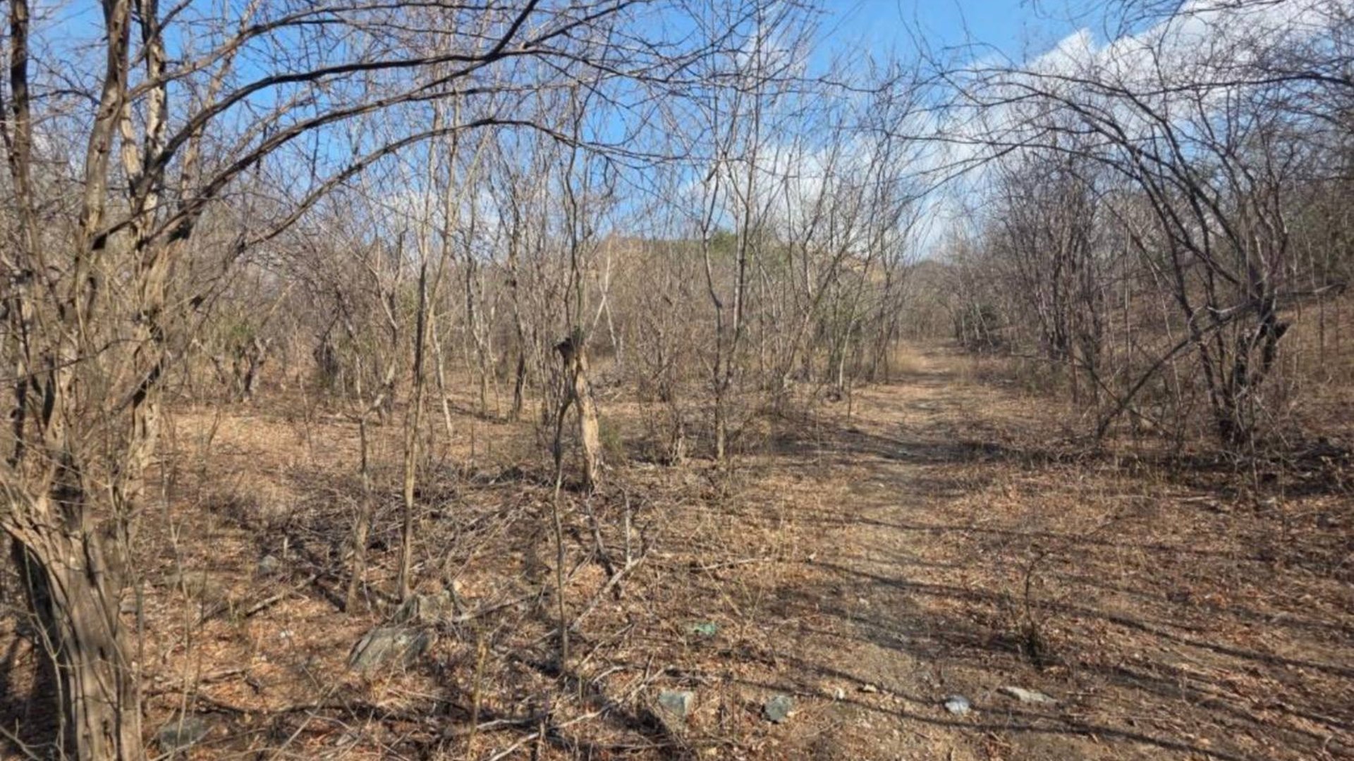 19 Manzanas en venta en El Progreso, Guastatoya  - Miniatura 5