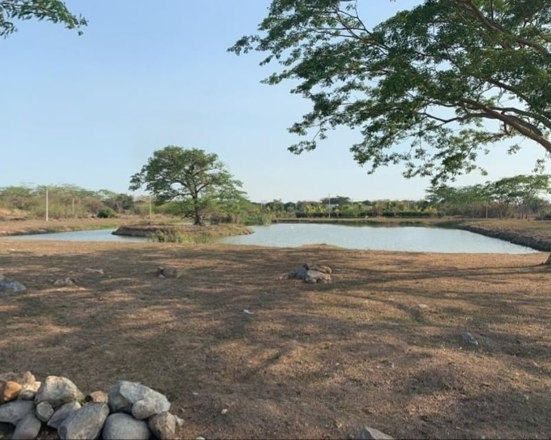 Venta terrenos en km 77 Al Pto Quetzal Q110,000