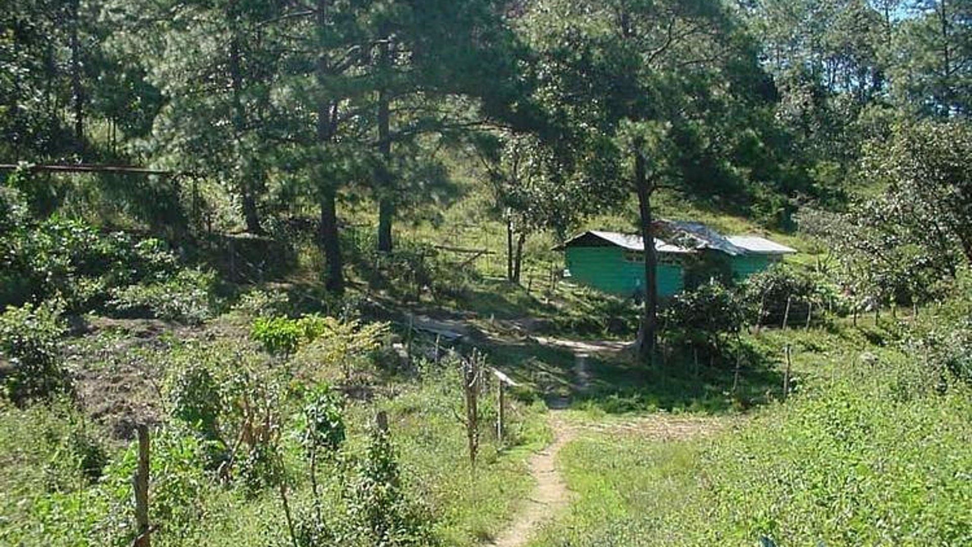 Vendo Finca Rustica en San Pedro Ayampuc