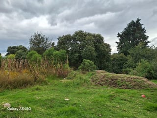 Finca en Venta de 8 Cuerdas en Quetzaltenango - Image 6