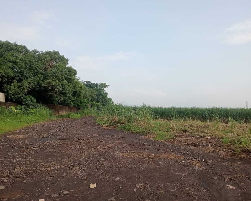 Finca en Venta Agricola o inmobiliaria Escuintla